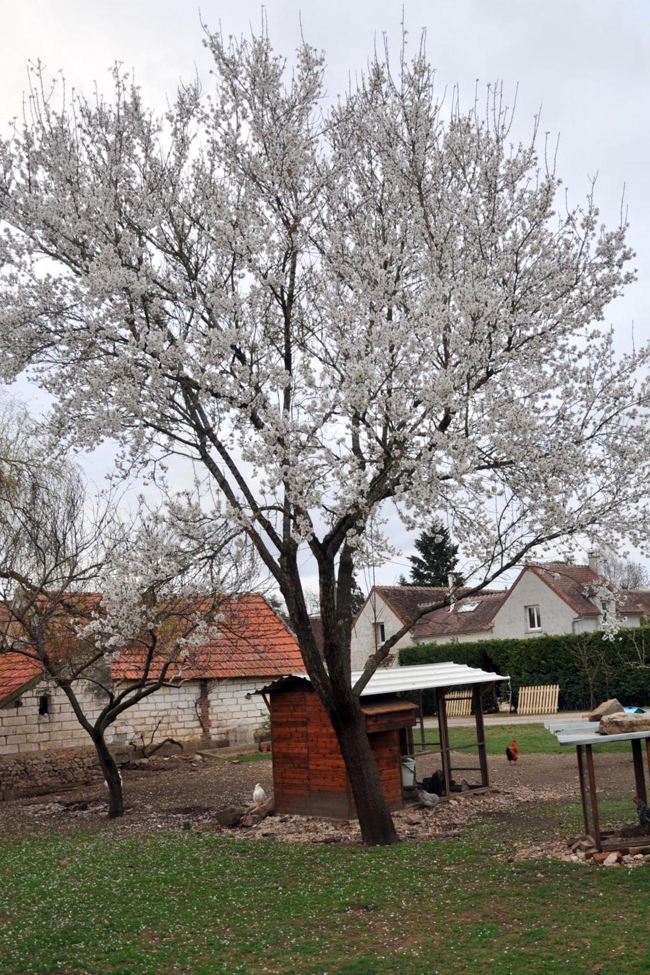 Vila La Ferme De Flo' Evry  Exteriér fotografie